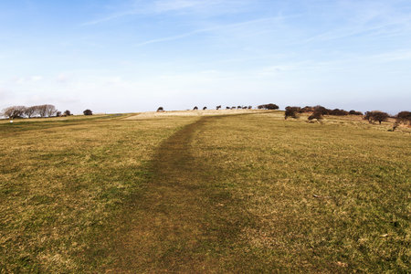 Meadows and fields in Seven Sisters national park, East Sussex, Englans, United Kingdom.