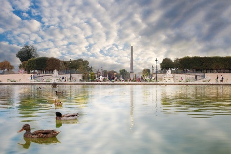Bassin in garden of the tuileries in Paris, France.のeditorial素材