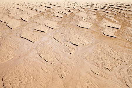 Wet beach sand.