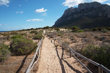 Path in Tavolara island, Sardinia, Tavolara.の写真素材