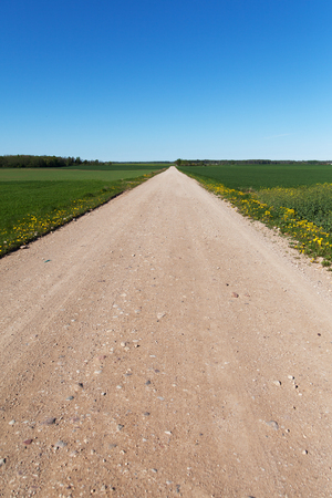 Gravel road in summer landscape.の写真素材