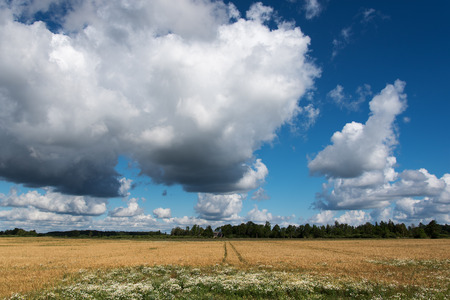 Nice day in latvian countryside.の写真素材