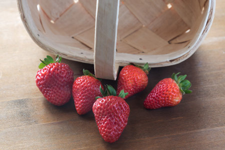 Red strawberries and wooden basket.の写真素材