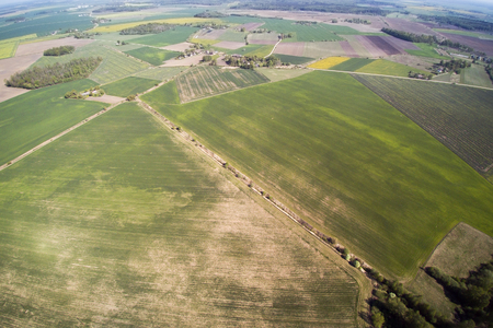 Green fields in spring time, Dobele county, Latvia.の写真素材