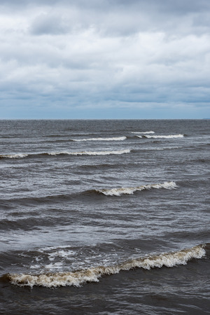 Dark Baltic sea in windy day.の写真素材