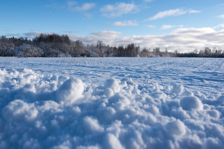 Winter landscape.