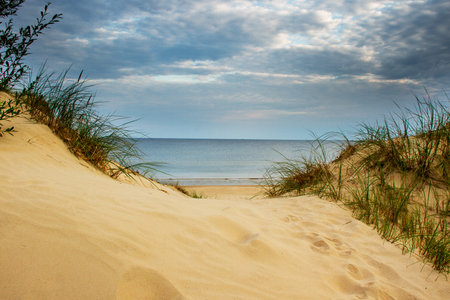 Morning at Baltic coast.