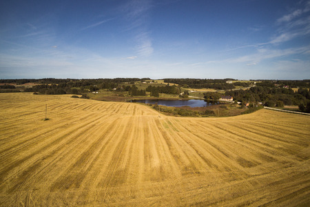 Late summer in countryside, Latvia.の写真素材