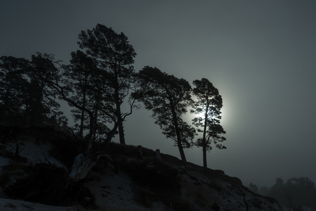 Winter evening by Baltic sea.の写真素材