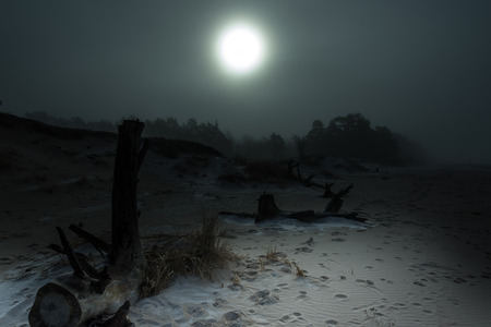 Winter evening by Baltic sea.の写真素材