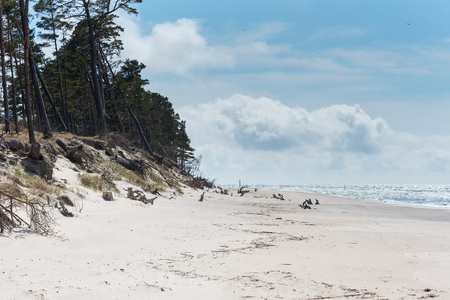 Wild Baltic sea coast, Latvia.の写真素材
