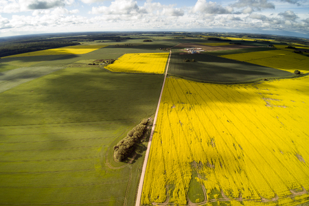 Sunny morning in countryside, Tukums area, Latvia.の写真素材