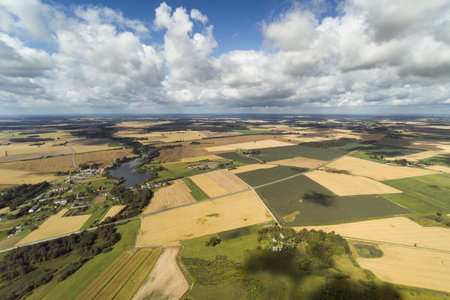 Ripe grain fields in latvian countryside, Semigallia region.
