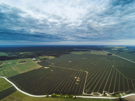 Spring time in countryside, Latvia.