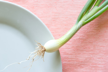 Fresh onion on plate.の写真素材