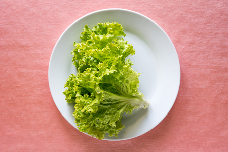 Lettuce salad on plate.の写真素材