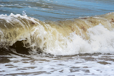 Baltic sea wave.の写真素材