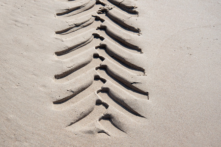 Tyre stamp in wet sand.の写真素材