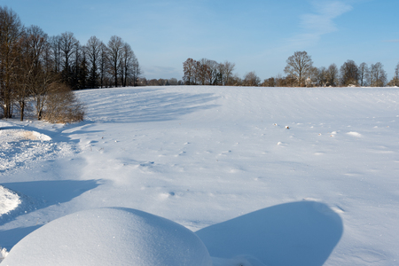 Fresh snow in counrtryside.の写真素材