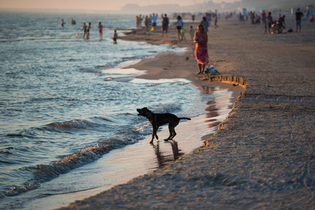 Baltic beach in sunset time, Liepaja, Latvia.の写真素材