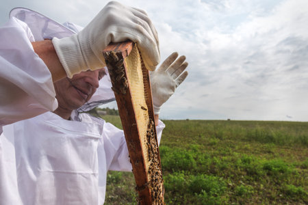 Beekeeper harvesting honey.