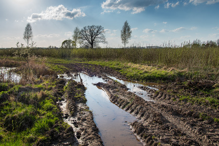 Tractor tracks in very wet soil background.の写真素材