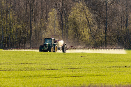 Spraying wheat field in spring time.
