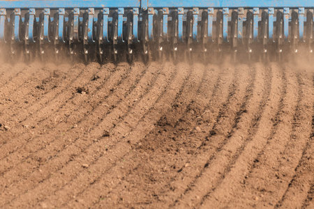 Cultivation of soil in spring time.