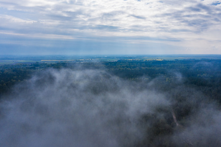 Foggy morning on forest at Baltic sea coast.の写真素材