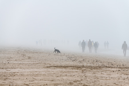 Walkers at Baltic sea in foggy day.の写真素材