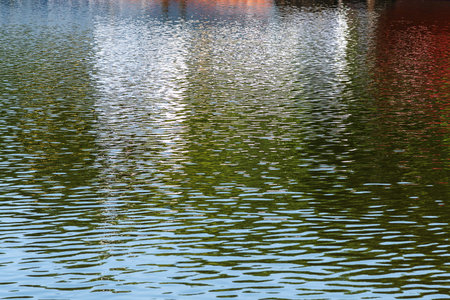 Reflections on the water surface.