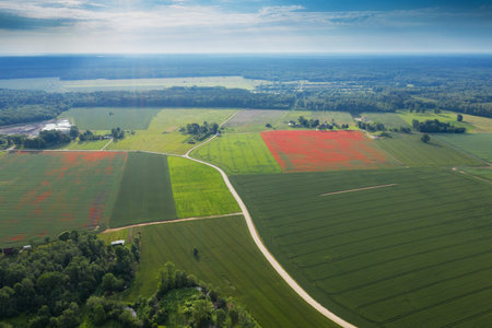 Morning light on countryside landscape.