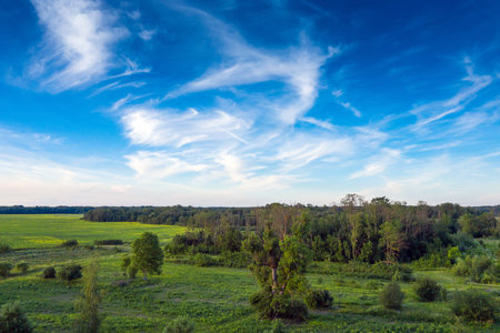 Summer solstice evening in Latvia.