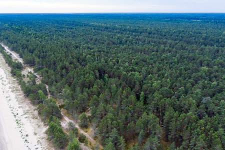 Coast of gulf of Riga, Baltic sea.