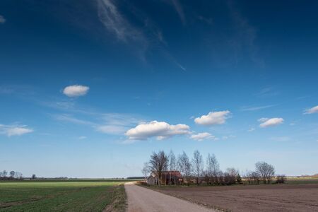 Rural landscape in spring time.の写真素材