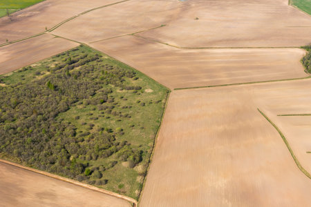 Brown and fresh agricultural fields in spring time.