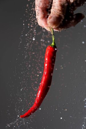 Red chili pepper in human hand.の写真素材