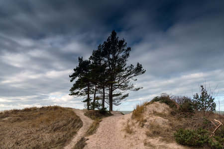 Baltic sea coast in cold day.の写真素材
