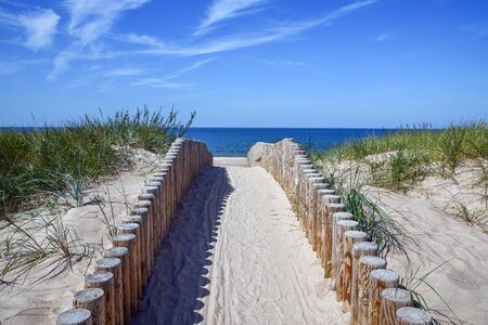 Path to Baltic sea in Pavilosta, Latvia.の写真素材