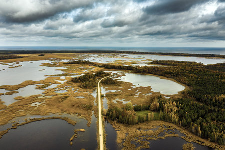 Owergrowing lake in autumn day, Kemeri National park, Latvia