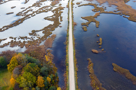 Owergrowing lake in autumn day, Kemeri National park, Latvia