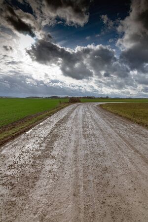 Wet gravel road after rain.の写真素材