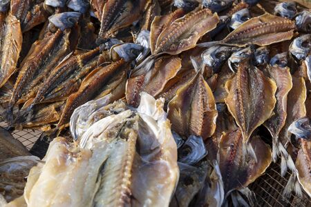 Drying of fresh fish on sunlight and wind.の写真素材
