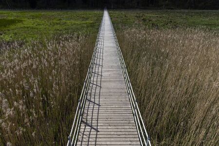 Wooden footbridge in wetland, Kazdanga, Latvia.の写真素材