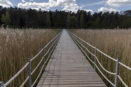 Wooden footbridge in wetland, Kazdanga, Latvia.の写真素材