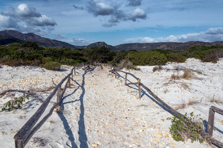 Sardinia sandy landscape on La Cinta beach next to San Teodoro, Italy.の写真素材