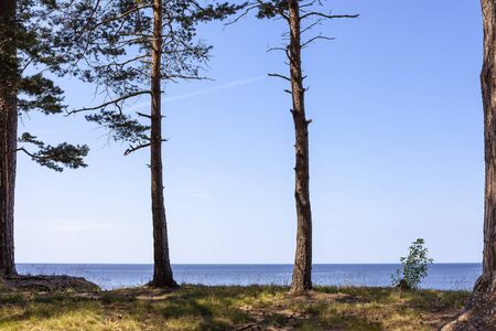 East coast Gulf of Riga, Baltic sea.の写真素材