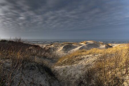 Dunes by Baltic sea in winter, Liepaja, Latvia.の写真素材