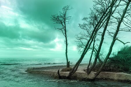 Baltic sea coast in winter time next to Liepaja, Latvia.の写真素材