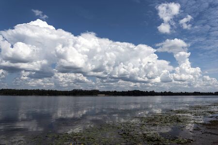 Daugava river in summer afternoon, Latvia.の写真素材